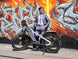 D5 Pro / All-terrain Electric Fat Bike