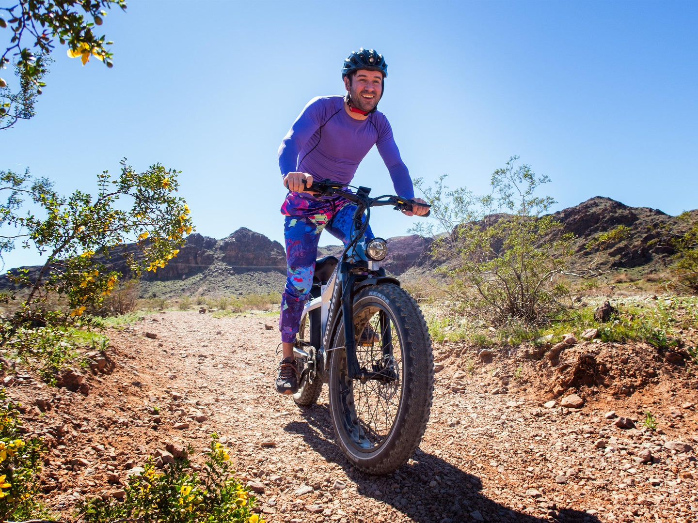 D5 Pro / All-terrain Electric Fat Bike