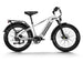 D5(Zebra) / All-terrain Electric Fat Bike