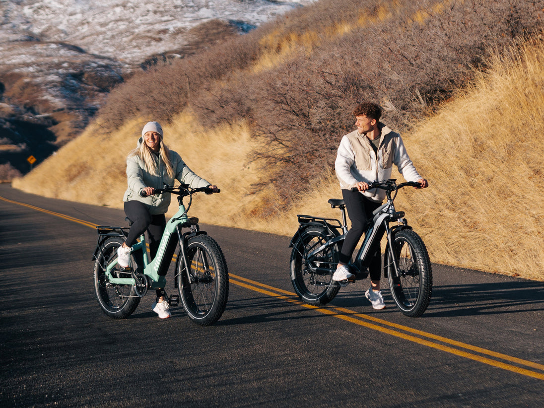 D5 ST(Zebra ST) / All-terrain Electric Fat Bike