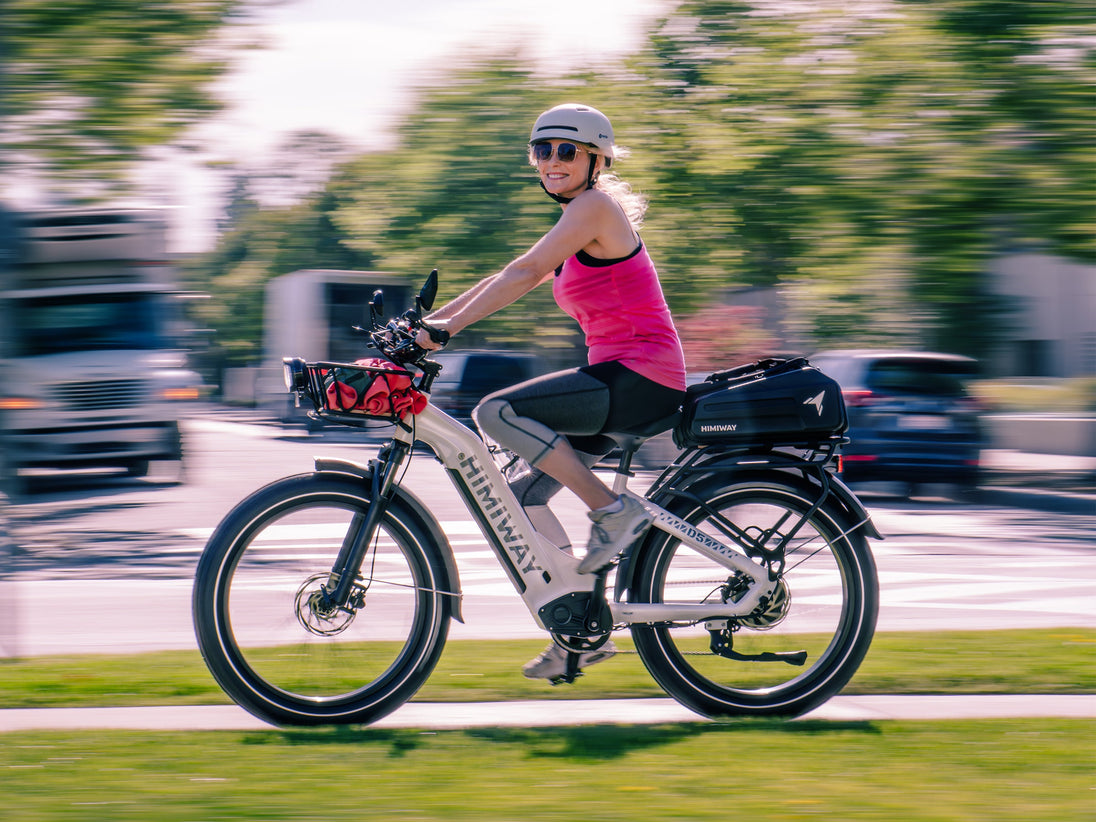 D5 ST(Zebra ST) / All-terrain Electric Fat Bike