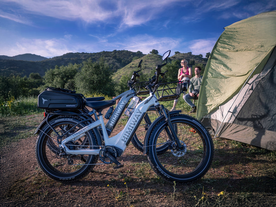 D5(Zebra) / All-terrain Electric Fat Bike