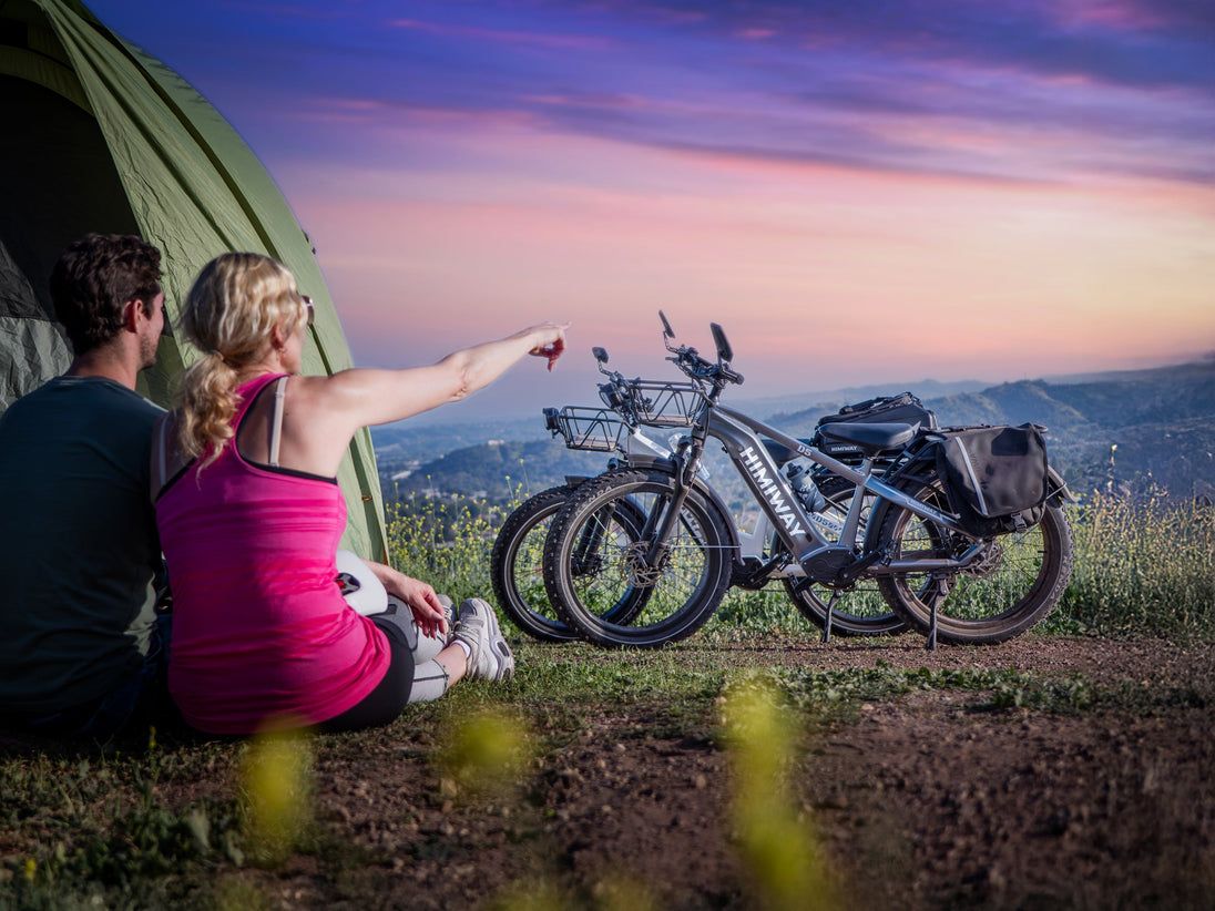 D5 ST(Zebra ST) / All-terrain Electric Fat Bike