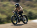 Himiway D7 Pro Mountain eBike