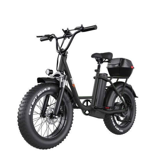 Freego FB-20X Cargo E-Bike | 750W, 20x4 Fat Tire - 25Ah Battery With Front Cargo Rack