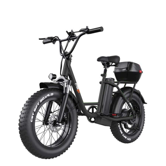 Freego FB-20X Cargo E-Bike | 750W, 20x4 Fat Tire - 25Ah Battery With Front Cargo Rack