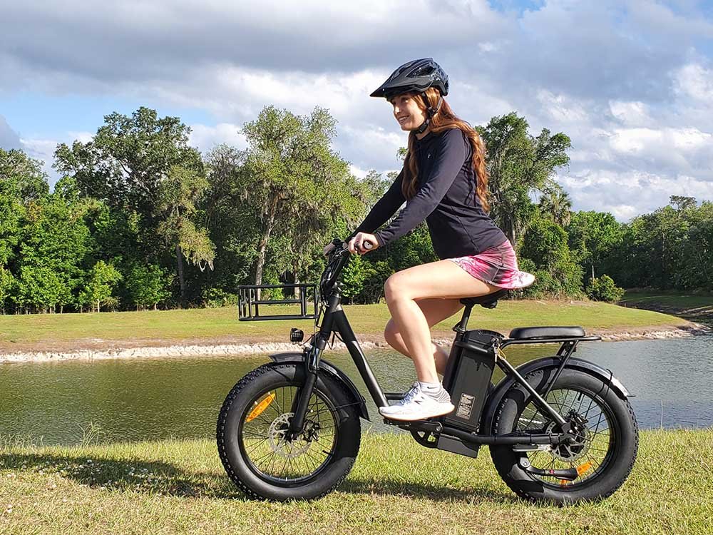 Freego FB-20X Step-thru Fat Tire Electric Bike - Image 2