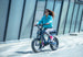 Eunorau | Flash | FLSHLT2019GB2US - Lunar Dust Mid-drive - image 11