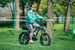 Eunorau | Flash | FLSHLT2019GB2US - Lunar Dust Mid-drive - image 13
