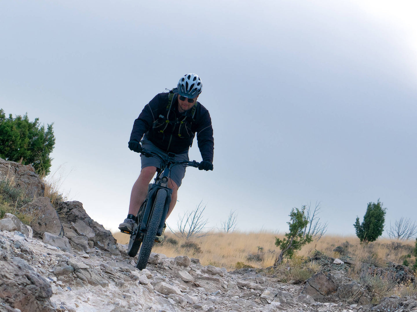Velowave Forest XM - Image 19