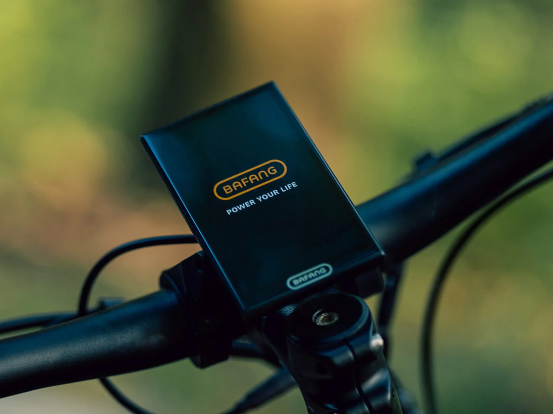 Velowave Forest XM - Image 13