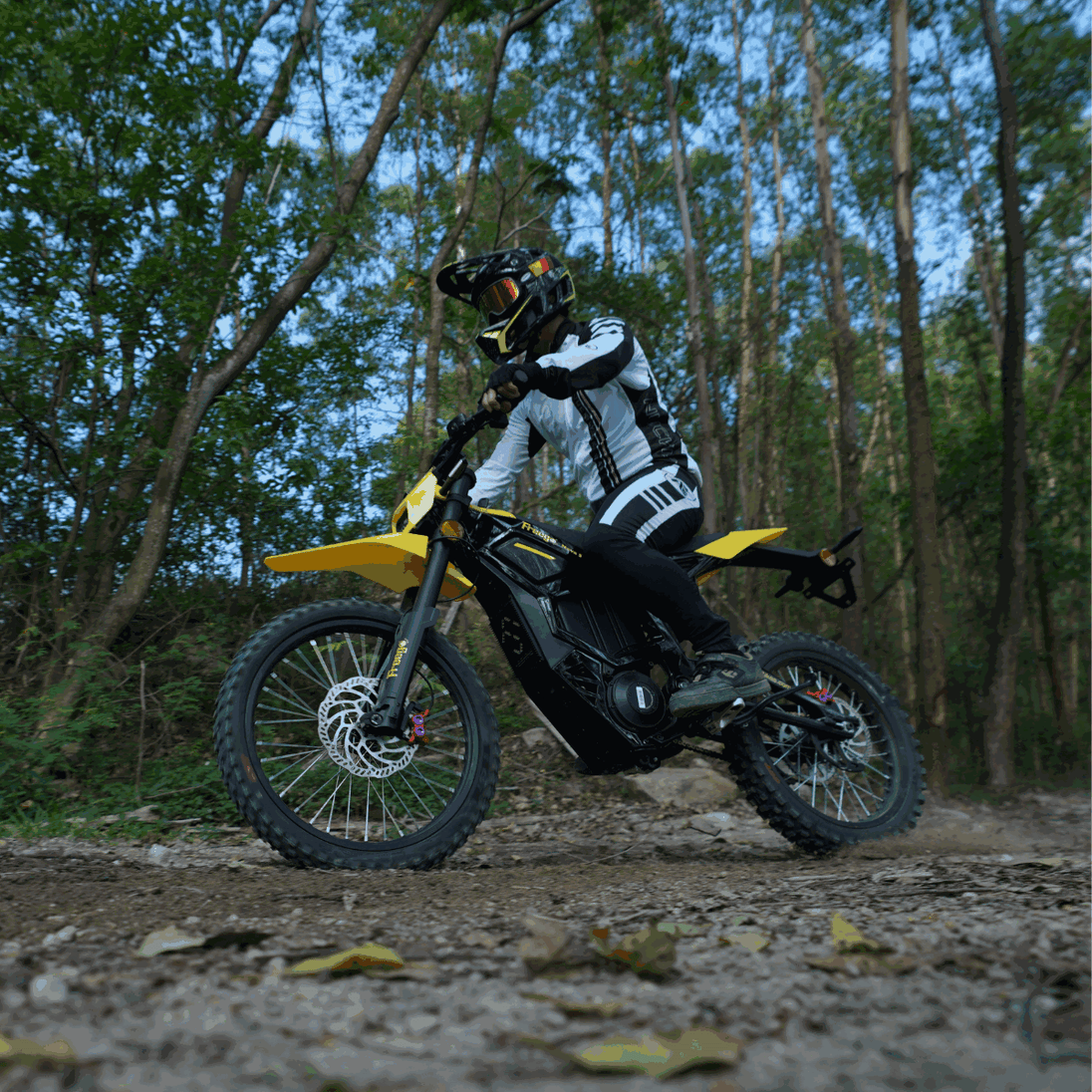 Rider on Freego Nova 5 electric dirt bike speeding through a forest trail.