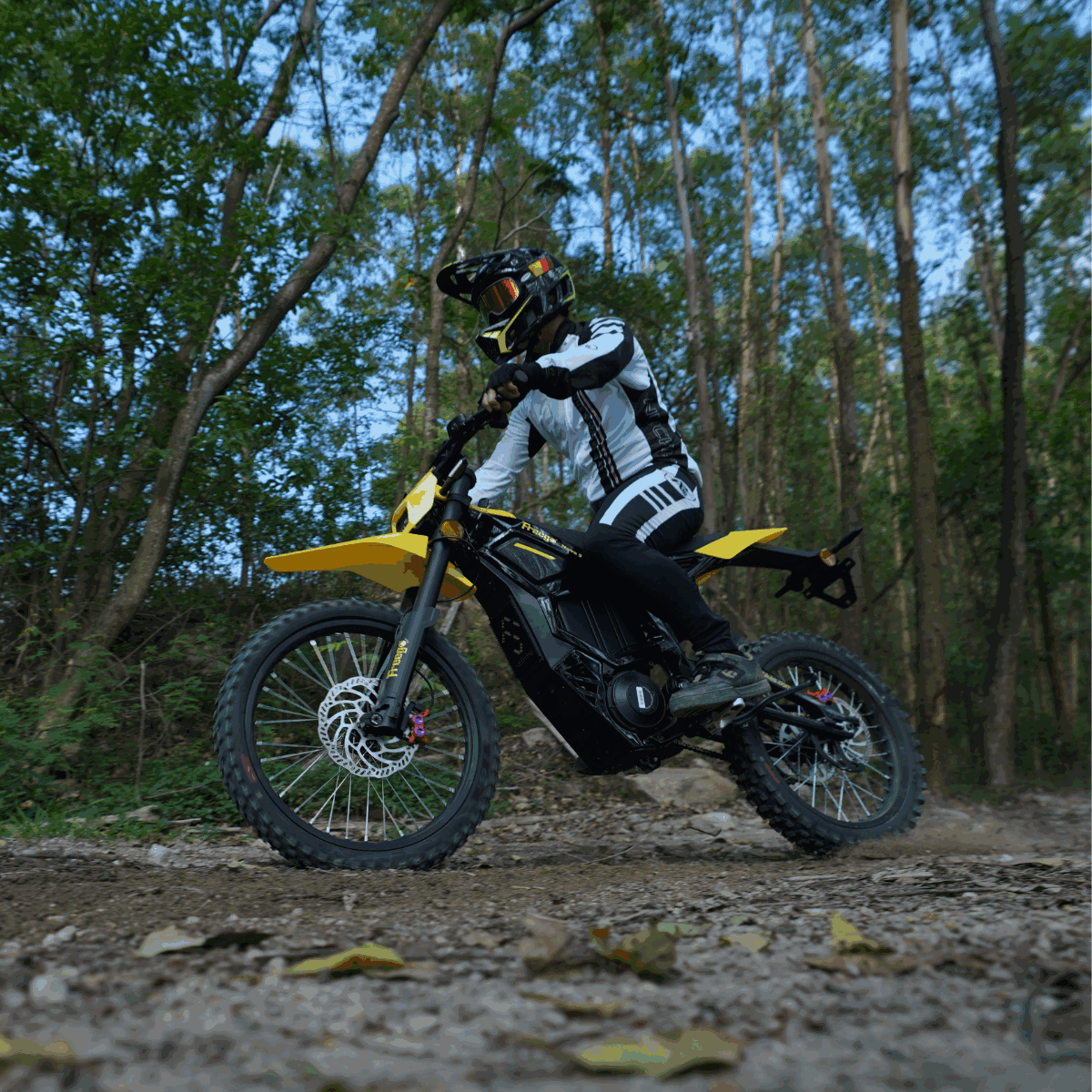 Rider on Freego Nova 5 electric dirt bike speeding through a forest trail.