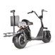 X7 Fat Tire Two Wheel Golf Scooter