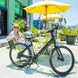 OKAI LyteCycle EB60 Lifestyle