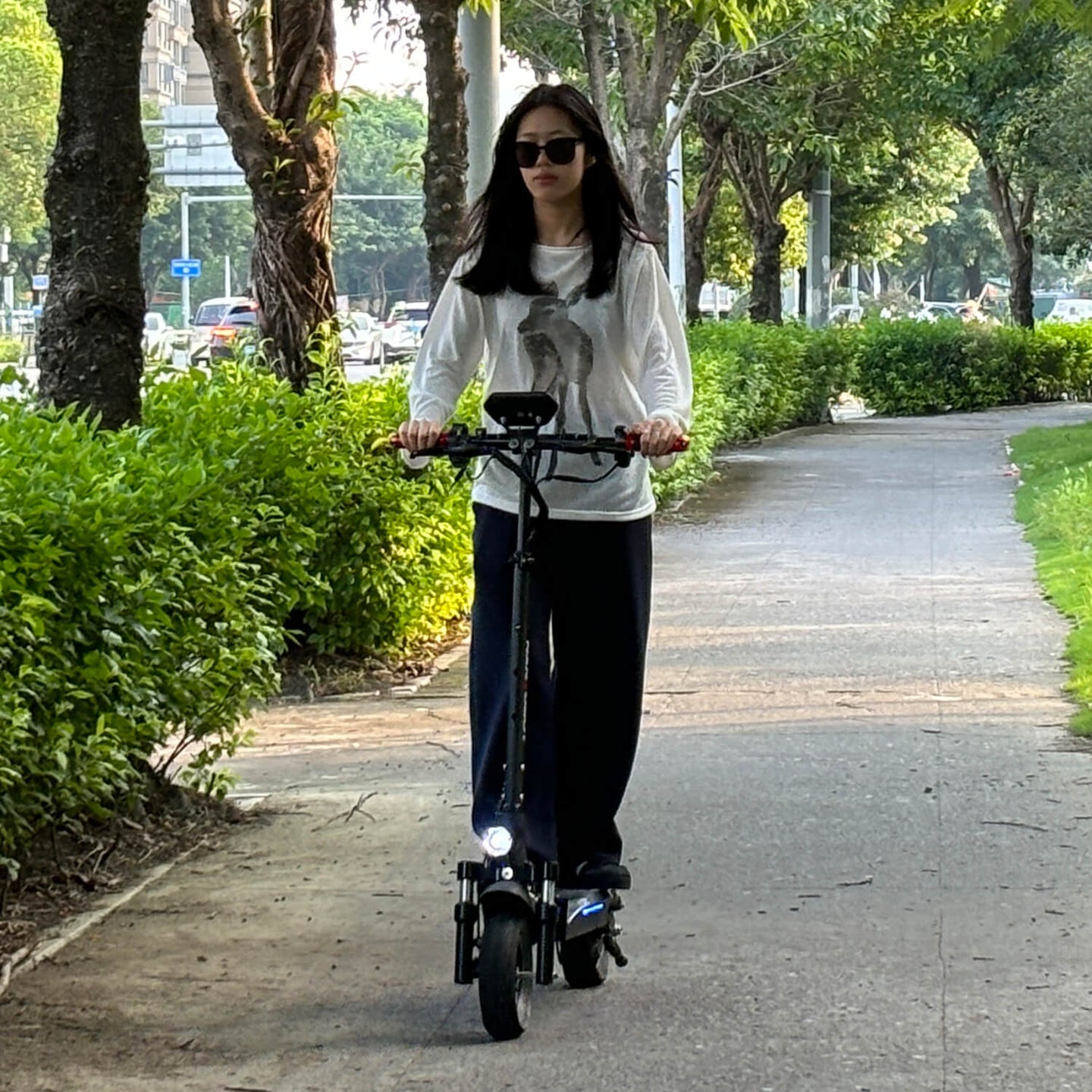 Nanrobot T1