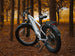 Velowave Ranger 3.0 - Image 11