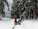 Freego Nachbike Swift S1 Snow Fat Tire Electric Bike