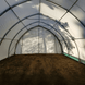Chery Industrial W20'xL42'xH12' Single Truss Arch Storage Shelter