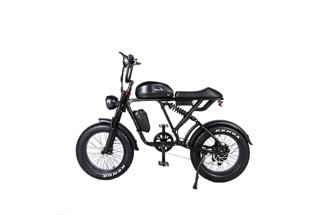 Electric Fat Tire Bike Shimano 7-Speed Titan 500