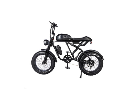 Electric Fat Tire Bike Shimano 7-Speed Titan 500