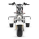 T7.3 Electric Fat Tire Golf Trike SoverSky