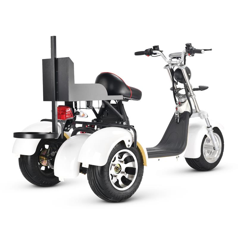 T7.3 Electric Fat Tire Golf Trike SoverSky