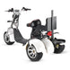 T7.3 Electric Fat Tire Golf Trike SoverSky
