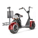 X7 Fat Tire Two Wheel Golf Scooter