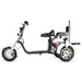 T7.3 Electric Fat Tire Golf Trike SoverSky