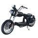 SoverSky M5 Lithium Chopper Fat Tire Scooter