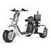 T7.3 Electric Fat Tire Golf Trike SoverSky
