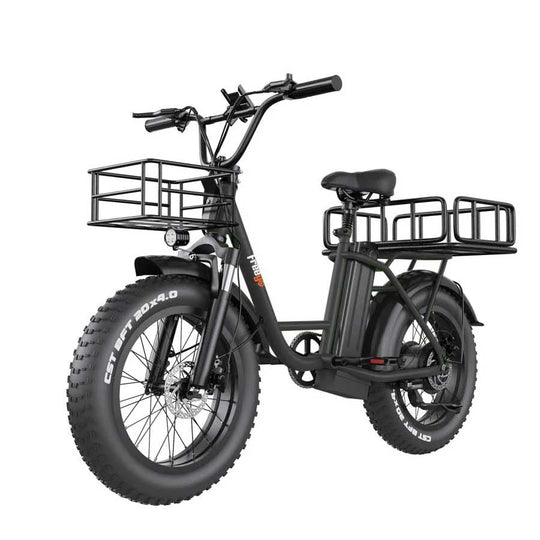 Freego FB-20X Cargo E-Bike | 750W, 20x4 Fat Tire - 25Ah Battery Standard Version