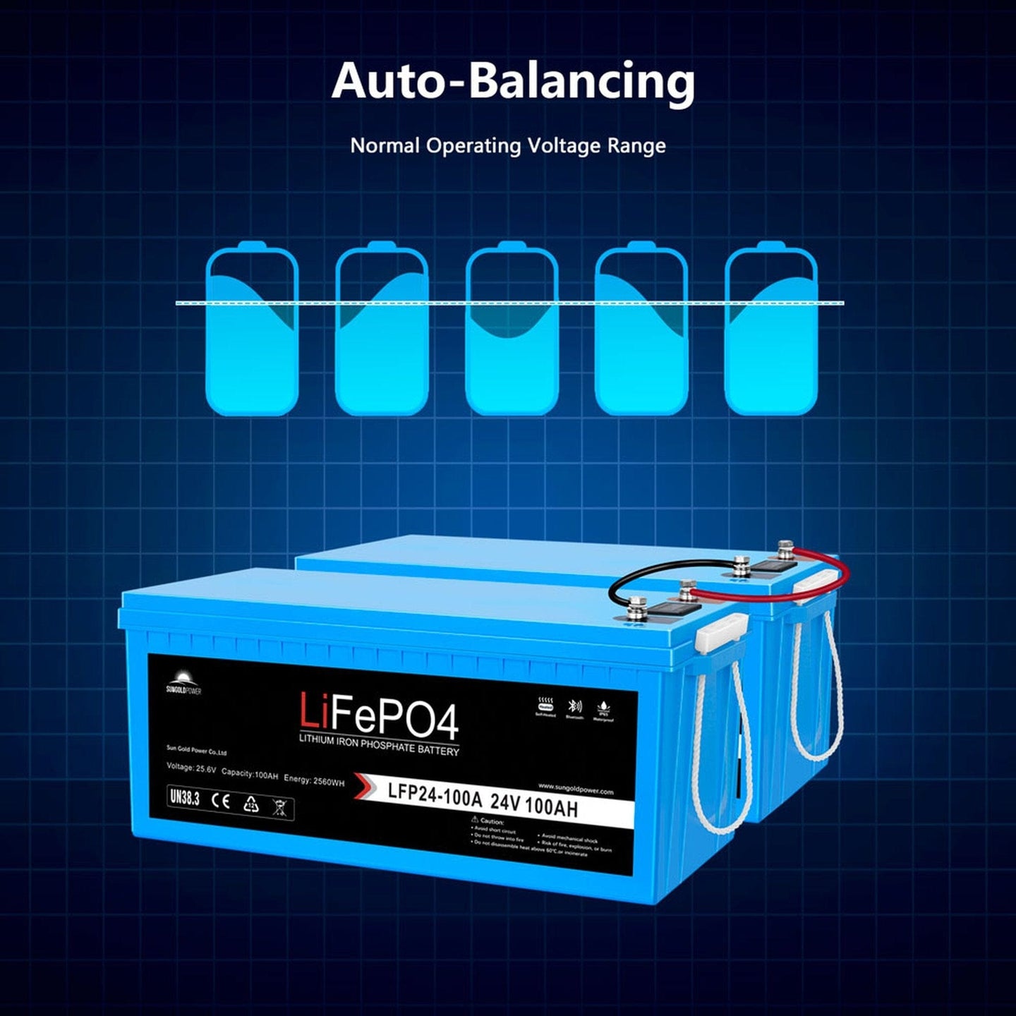 SunGold Power | 24V 100Ah LiFePo4 Deep Cycle Lithium Battery Bluetooth / Self-Heating / IP65 | LFP24-100Ax2 | 2 Units