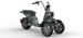 4000w Three Wheeled Motorcyle  E-Trike 50Ah Li-Battery SoverSky T100