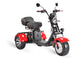 SoverSky Electric Mobility Adult Trike 2000w T7.1/T7.2