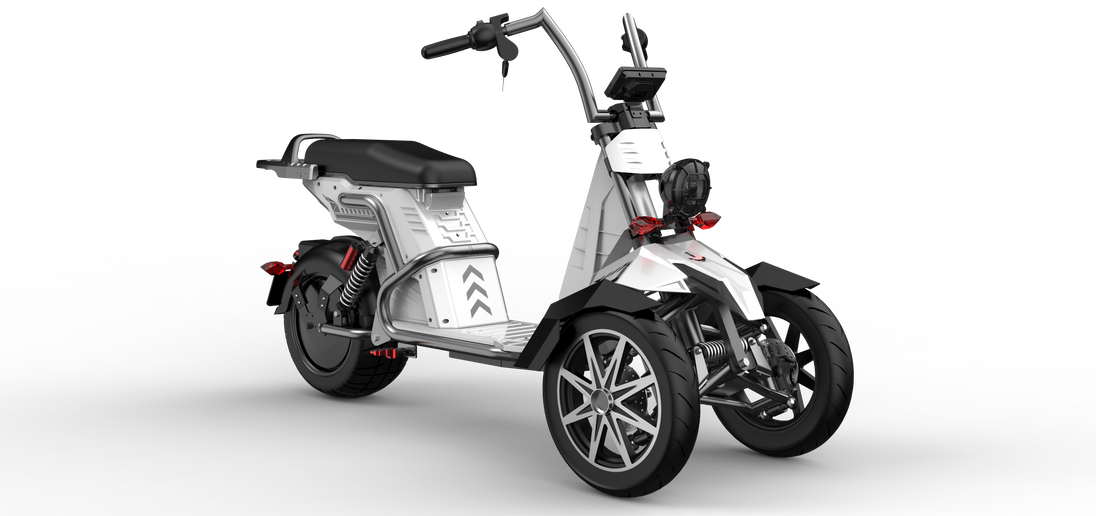 4000w Three Wheeled Motorcyle  E-Trike 50Ah Li-Battery SoverSky T100