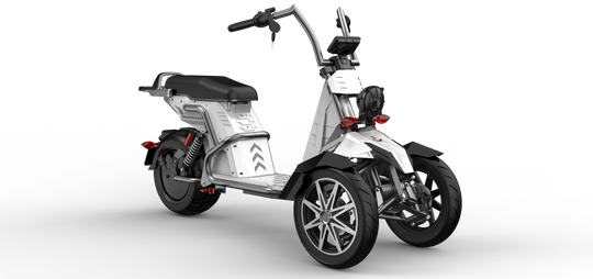 4000w Three Wheeled Motorcyle  E-Trike 50Ah Li-Battery SoverSky T100