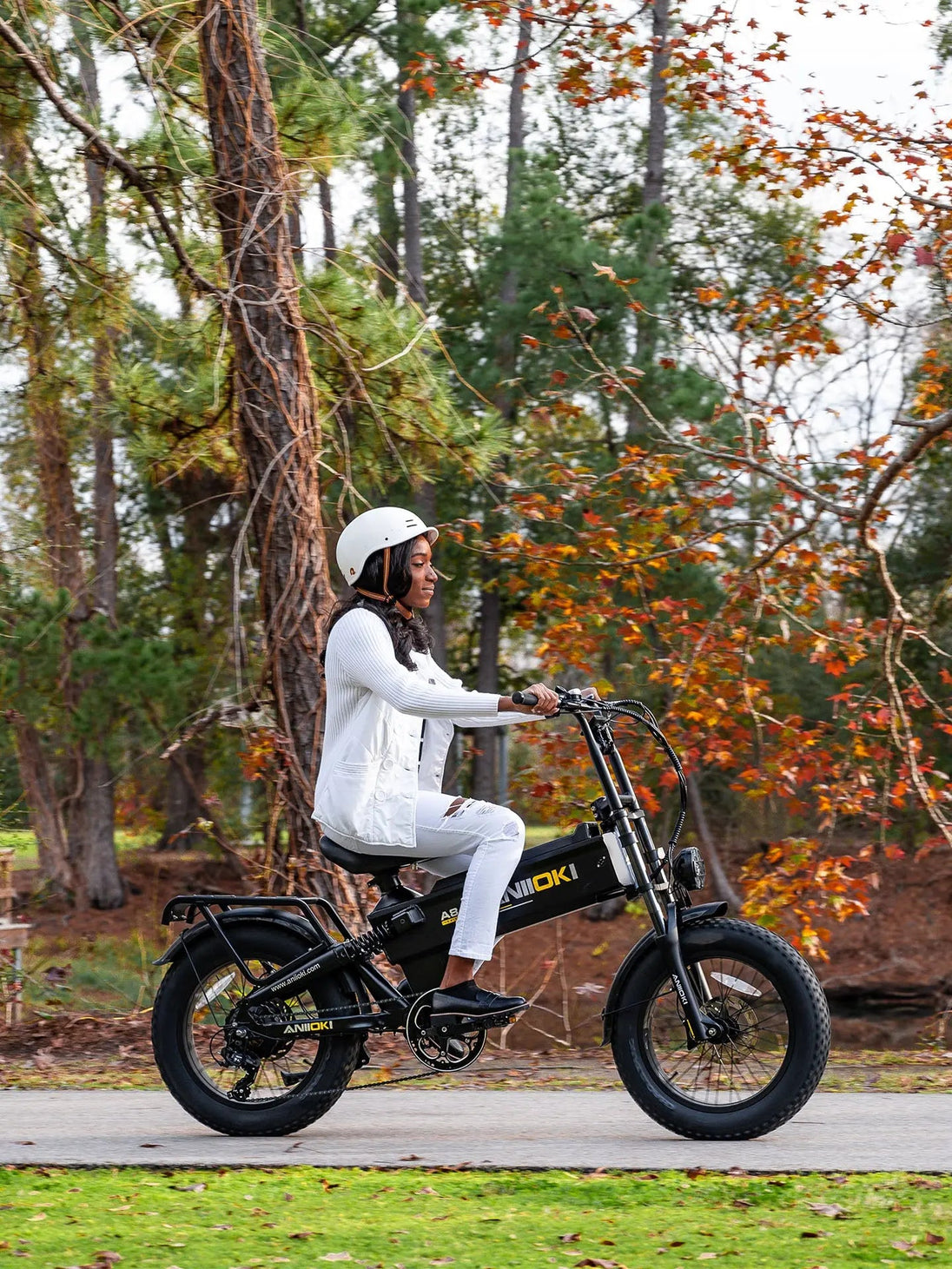 ANIIOKI A8 Pro Max eBike
