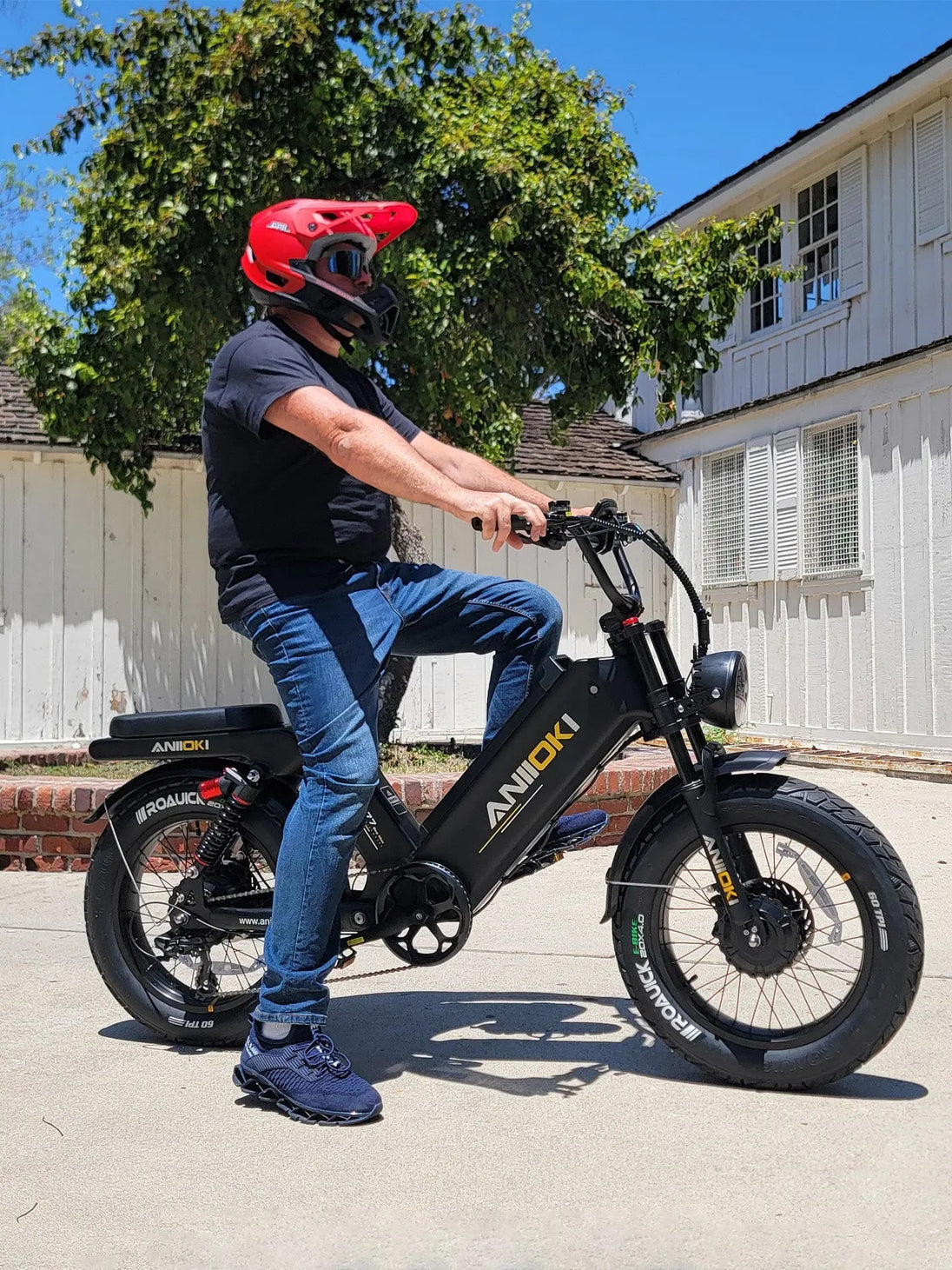 ANIIOKI AQ177 Pro Max Dual Motor eBike