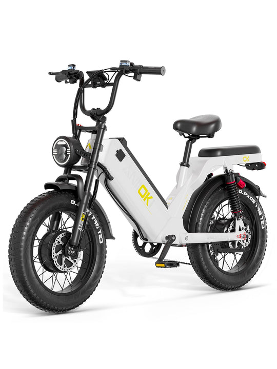 ANIIOKI AQ177 Pro Max Dual Motor eBike