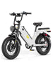 ANIIOKI AQ177 Pro Max Dual Motor eBike