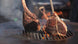 Arteflame Grill Grates