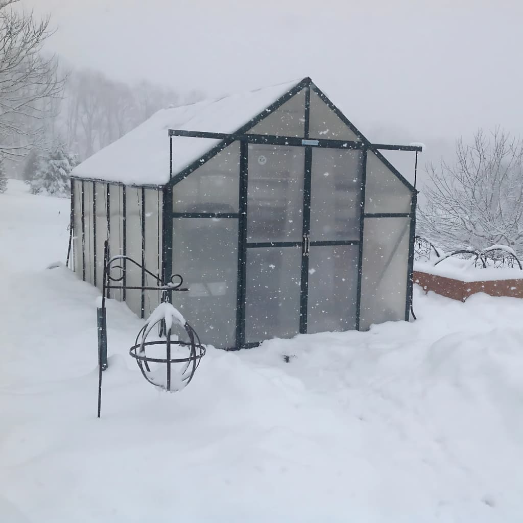 Grandio Ascent 8x12 Greenhouse