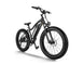 D3(Cruiser) / Long Range Fat Tire Electric Bike