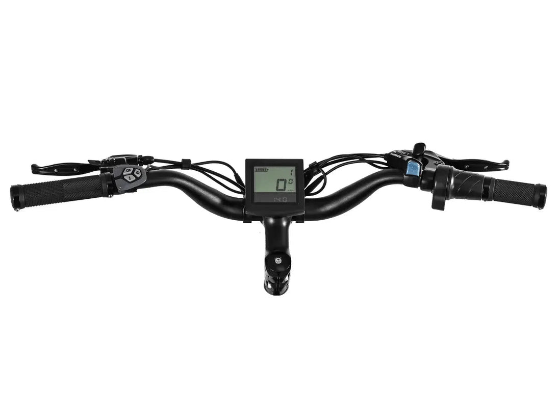 D3 ST(Cruiser ST) / All Terrain Electric Bike