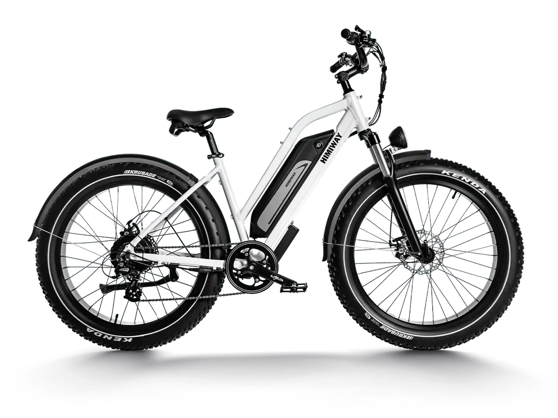 D3 ST(Cruiser ST) / All Terrain Electric Bike