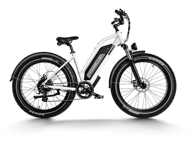 D3 ST(Cruiser ST) / All Terrain Electric Bike