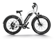 D3 ST(Cruiser ST) / All Terrain Electric Bike