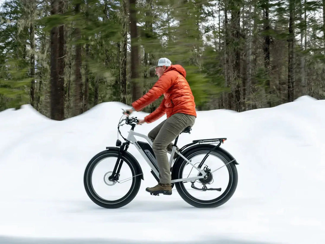 D3 ST(Cruiser ST) / All Terrain Electric Bike